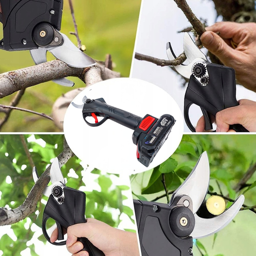 Střih větve – detail řezu